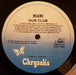 The Gun Club – Miami LP vinyl record, image 3 of 6