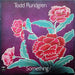 Todd Rundgren – Something / Anything? (2xLP) LP vinyl record, image 1 of 7