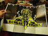 Bengal Tigers – Metal Fetish 12" vinyl record, image 7 of 8