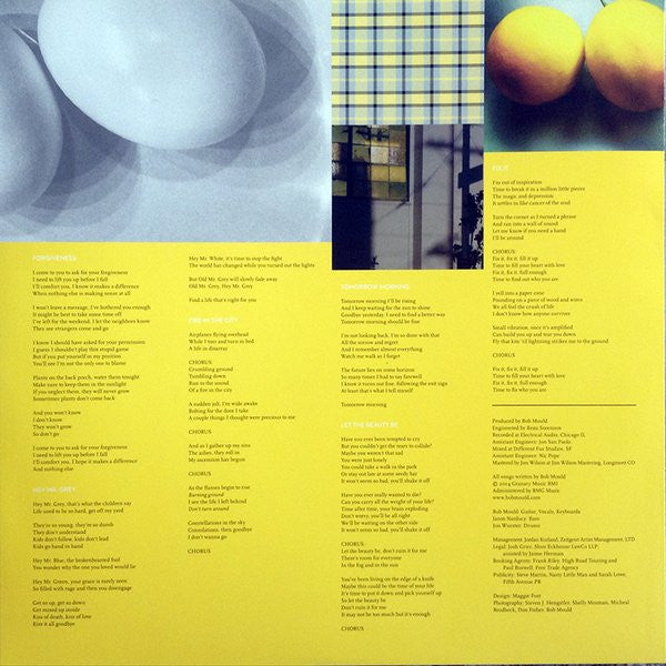 Bob Mould – Beauty & Ruin LP vinyl record, image 4 of 5