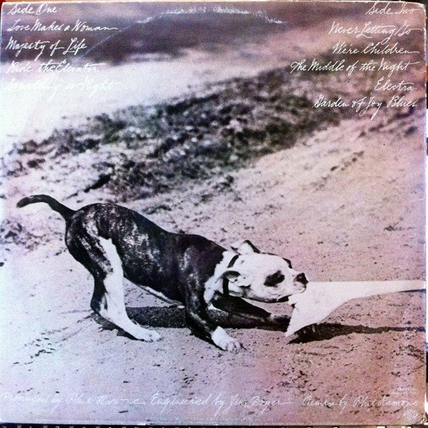 Phoebe Snow – Never Letting Go LP vinyl record, image 2 of 6