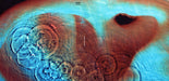 Pink Floyd – Meddle LP vinyl record, image 9 of 9