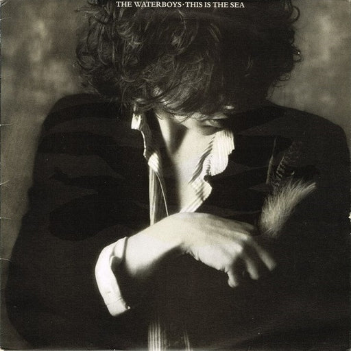 The Waterboys – This Is The Sea LP vinyl record, image 1 of 6
