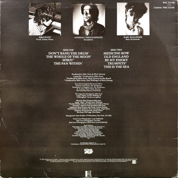 The Waterboys – This Is The Sea LP vinyl record, image 2 of 6