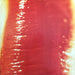 The Cure – Kiss Me Kiss Me Kiss Me (2xLP) LP vinyl record, image 7 of 10