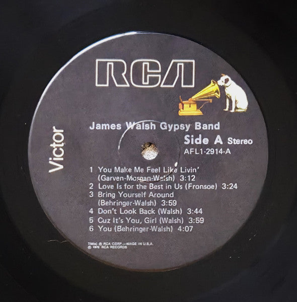 James Walsh Gypsy Band – James Walsh Gypsy Band LP vinyl record, image 3 of 6