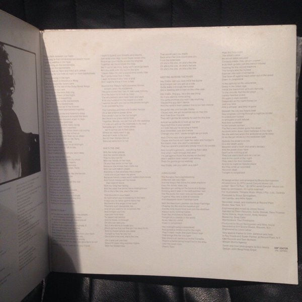Bruce Springsteen – Born To Run LP vinyl record, image 3 of 6