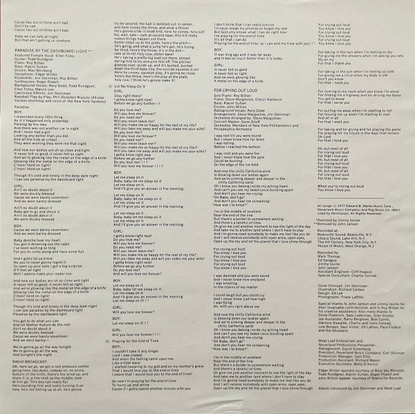 Meat Loaf – Bat Out Of Hell LP vinyl record, image 7 of 9