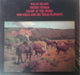 Various – Texas Country (2xLP) LP vinyl record, image 2 of 6