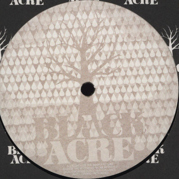 Dark Sky – Something To Lose 12" vinyl record, image 2 of 2