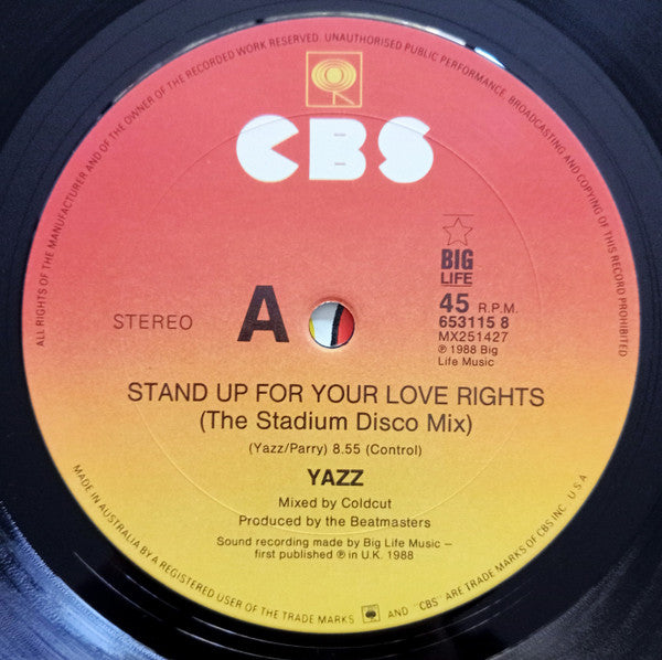 Yazz – Stand Up For Your Love Rights (The Remixes) 12" vinyl record, image 3 of 4