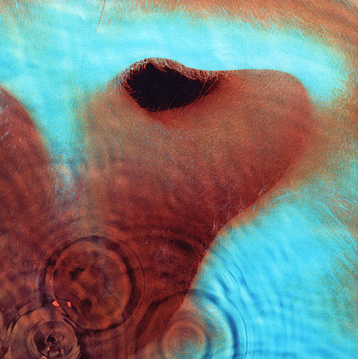 Pink Floyd – Meddle LP vinyl record, image 1 of 9