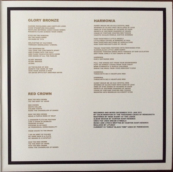 Liturgy – Aesthethica (2xLP) LP vinyl record, image 3 of 10