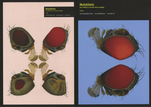 Dave Phillips, Cornelia Hesse-Honegger – Mutations LP vinyl record, image 5 of 6