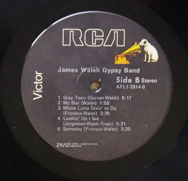 James Walsh Gypsy Band – James Walsh Gypsy Band LP vinyl record, image 4 of 6