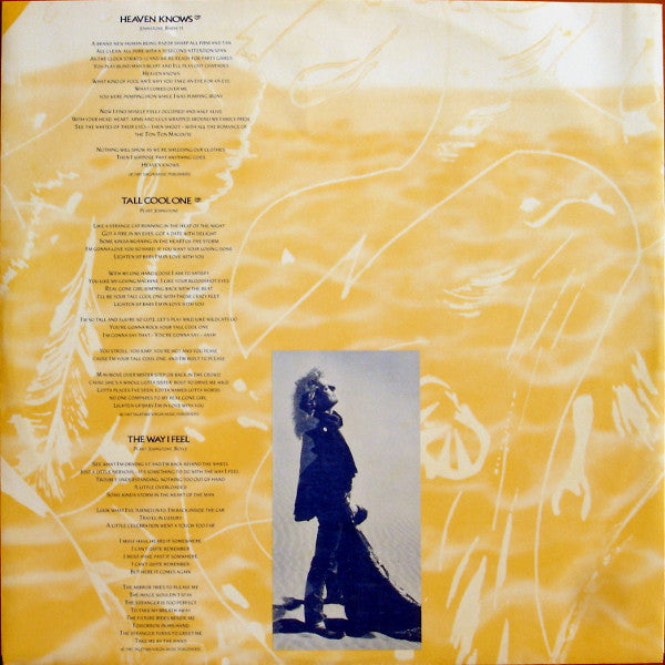 Robert Plant – Now And Zen LP vinyl record, image 6 of 8