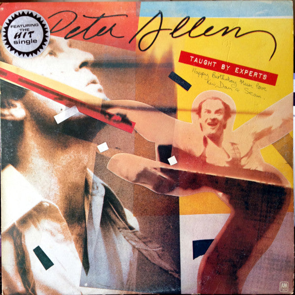 Peter Allen – Taught By Experts LP vinyl record, image 1 of 6