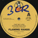 Flaming Hands – Cast My Love (Extended Dance Mix) 12" vinyl record, image 3 of 3