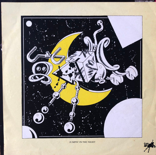 The Flamin' Groovies – Jumpin' In The Night LP vinyl record, image 3 of 6