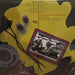 Marshall Crenshaw – Marshall Crenshaw LP vinyl record, image 2 of 2