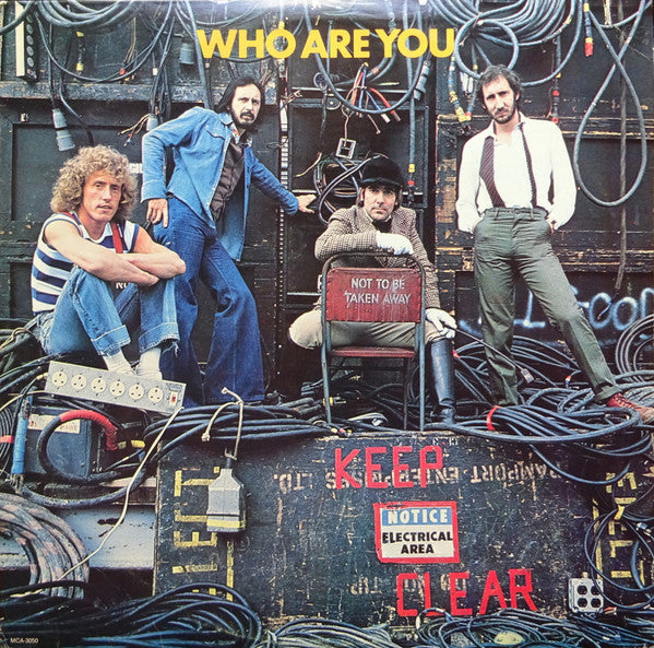The Who – Who Are You LP vinyl record, image 1 of 6