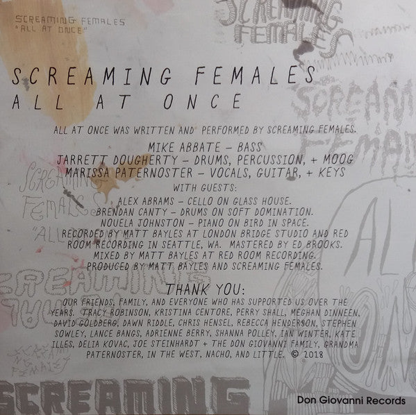 Screaming Females – All At Once (2xLP) LP vinyl record, image 7 of 10