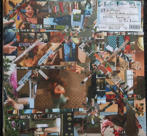 Lou Barlow – Reason To Live LP vinyl record, image 1 of 6