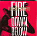 The Black Sorrows – Fire Down Below 12" vinyl record, image 1 of 4