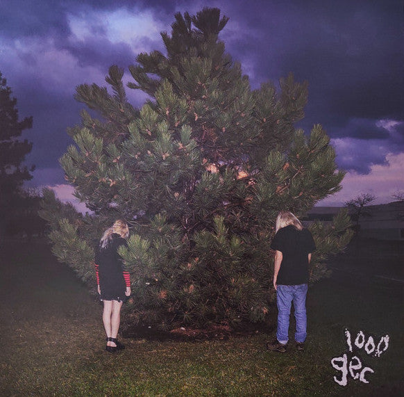 100 Gecs – 1000 Gecs LP vinyl record, image 1 of 10