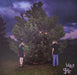 100 Gecs – 1000 Gecs LP vinyl record, image 1 of 10