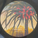 Midori Takada – Through The Looking Glass LP vinyl record, image 4 of 4