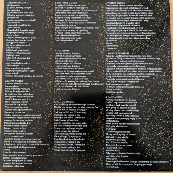 The Murlocs – Old Locomotive LP vinyl record, image 4 of 5