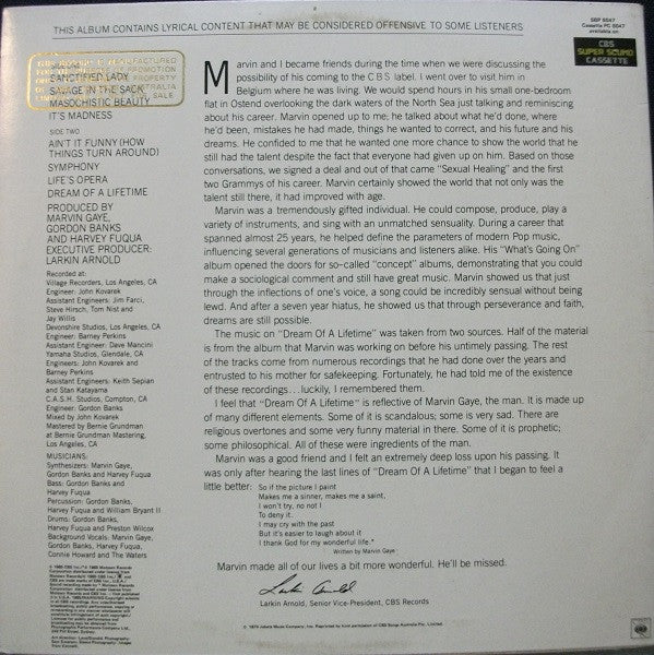 Marvin Gaye – Dream Of A Lifetime LP vinyl record, image 2 of 6