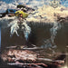 John Frusciante – The Empyrean (2xLP) LP vinyl record, image 1 of 10