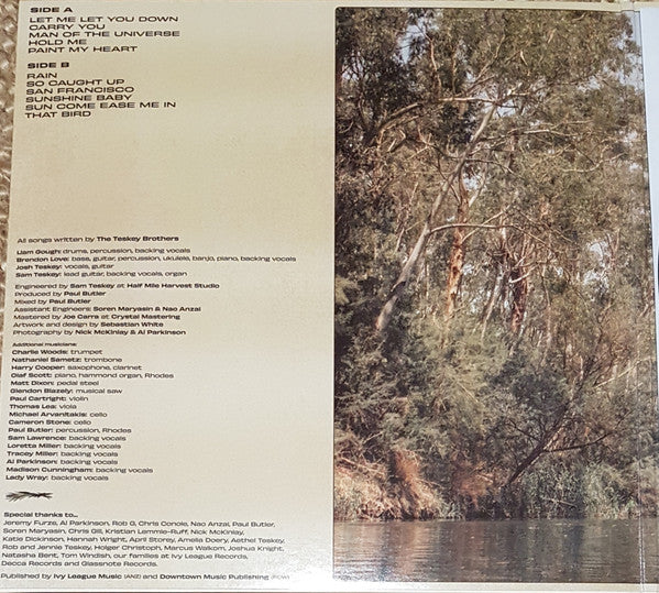 The Teskey Brothers – Run Home Slow LP vinyl record, image 4 of 5