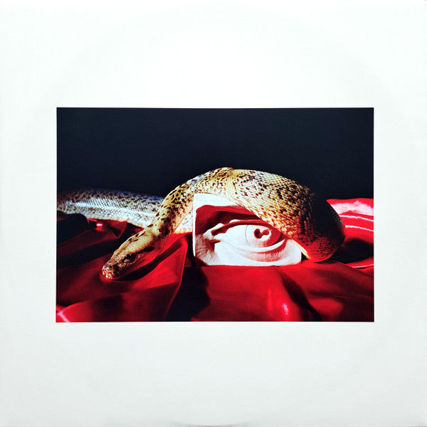 Perfume Genius – Set My Heart On Fire Immediately (2xLP) LP vinyl record, image 7 of 10