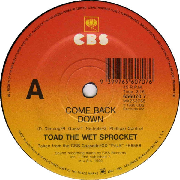 Toad The Wet Sprocket – Come Back Down 7" vinyl record, image 1 of 3