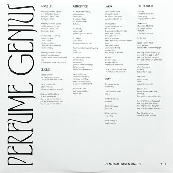 Perfume Genius – Set My Heart On Fire Immediately (2xLP) LP vinyl record, image 8 of 10