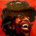 Little Richard – The Second Coming LP vinyl record, image 1 of 2