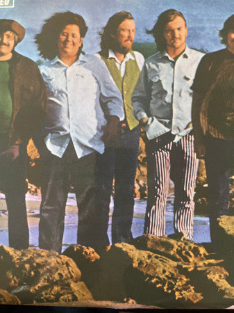 The Turtles – Turtle Soup LP vinyl record, image 1 of 3