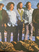 The Turtles – Turtle Soup LP vinyl record, image 1 of 3