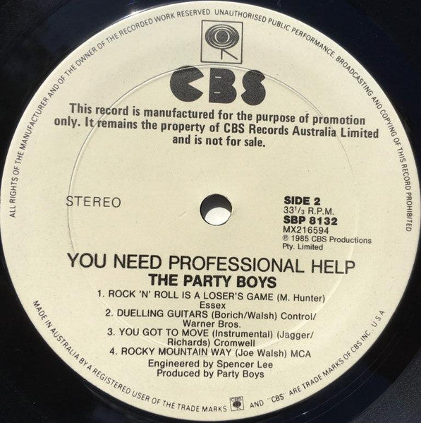 The Party Boys – You Need Professional Help LP vinyl record, image 4 of 4