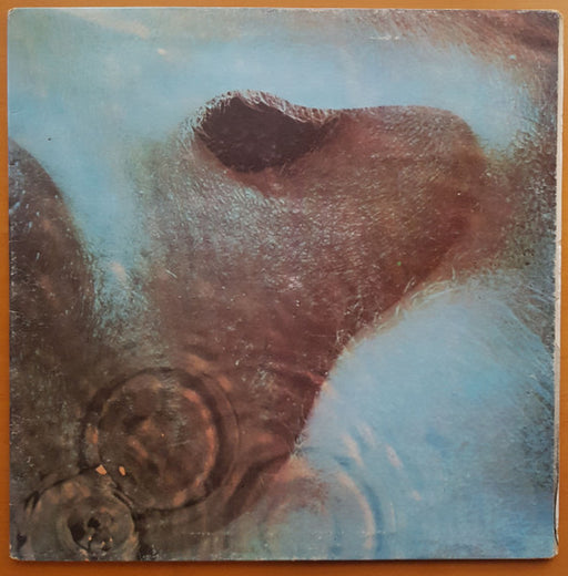 Pink Floyd – Meddle