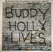 Buddy Holly, The Crickets – 20 Golden Greats LP vinyl record, image 1 of 7