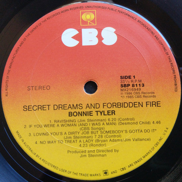 Bonnie Tyler – Secret Dreams And Forbidden Fire LP vinyl record, image 5 of 6