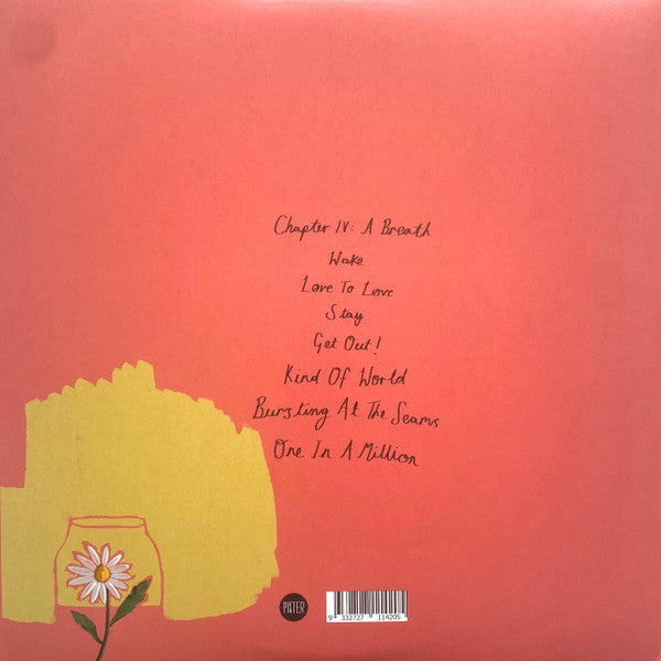 Big Scary – Daisy LP vinyl record, image 2 of 8