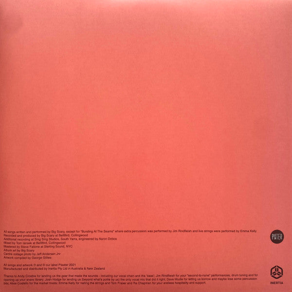 Big Scary – Daisy LP vinyl record, image 4 of 8
