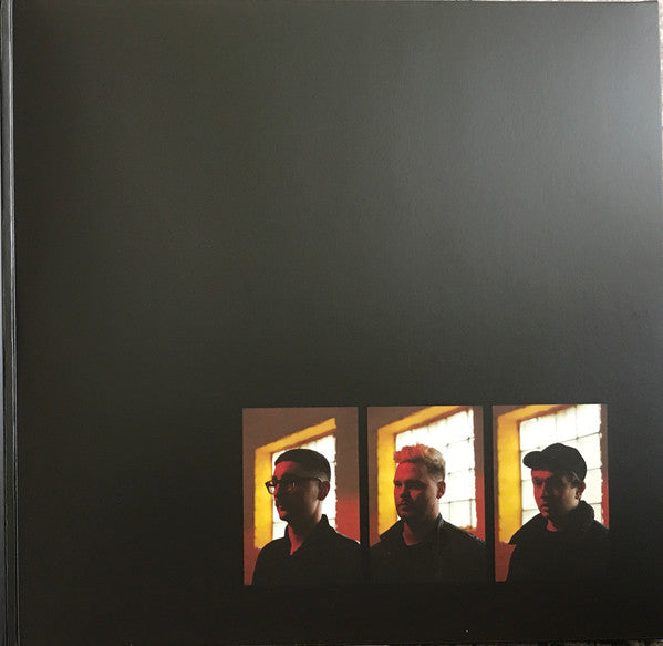 Alt-J – Relaxer LP vinyl record, image 2 of 7