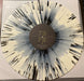 I Built The Sky – The Zenith Rise LP vinyl record, image 3 of 3