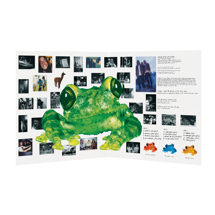 Silverchair – Frogstomp (2xLP) - Image 2